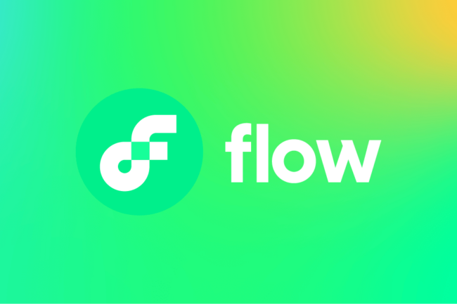 Analiza projektu Flow