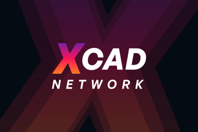 Analiza projektu XCAD Network