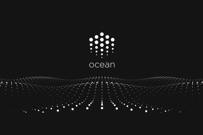 Analiza projektu Ocean Protocol